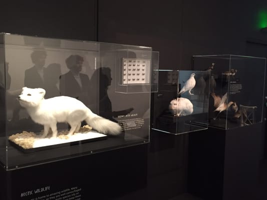 Manchester Museum by null