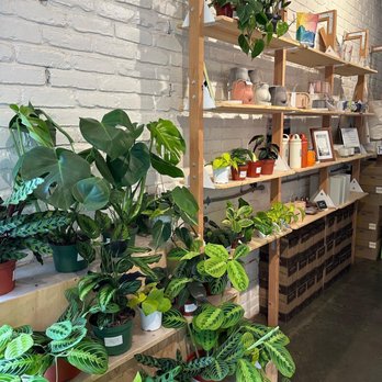 Nook Coffee Bar - Coffee & Tea Near Me - Costa Mesa, California