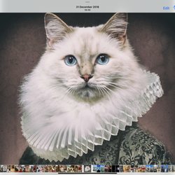 Shakespaw Cat Cafe - Shakespaw Cat Cafe