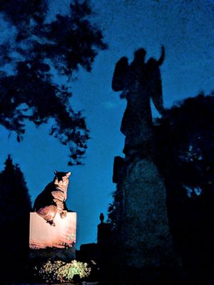 The Green-Wood Cemetery by null