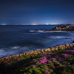 Lovers Point Park