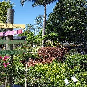 Pinder's Nursery - Signage - Nurseries & Gardening Near Me - Palm City, Florida Pinder's Nursery - Signage - Nurseries & Gardening Near Me - Palm City, Florida