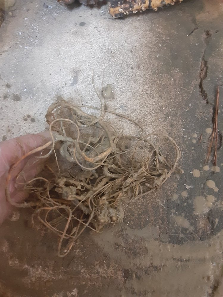 Slide of Unclogit Sewer and Drain