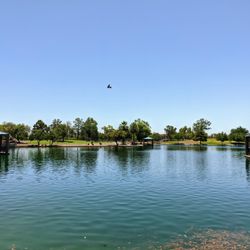 Desert Breeze Park