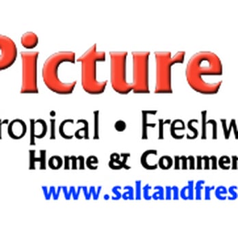 Picture Perfect Pet Grooming - Pet Groomers Near Me - Marina, California Picture Perfect Pet Grooming - Pet Groomers Near Me - Marina, California