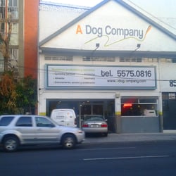 A Dog Company
