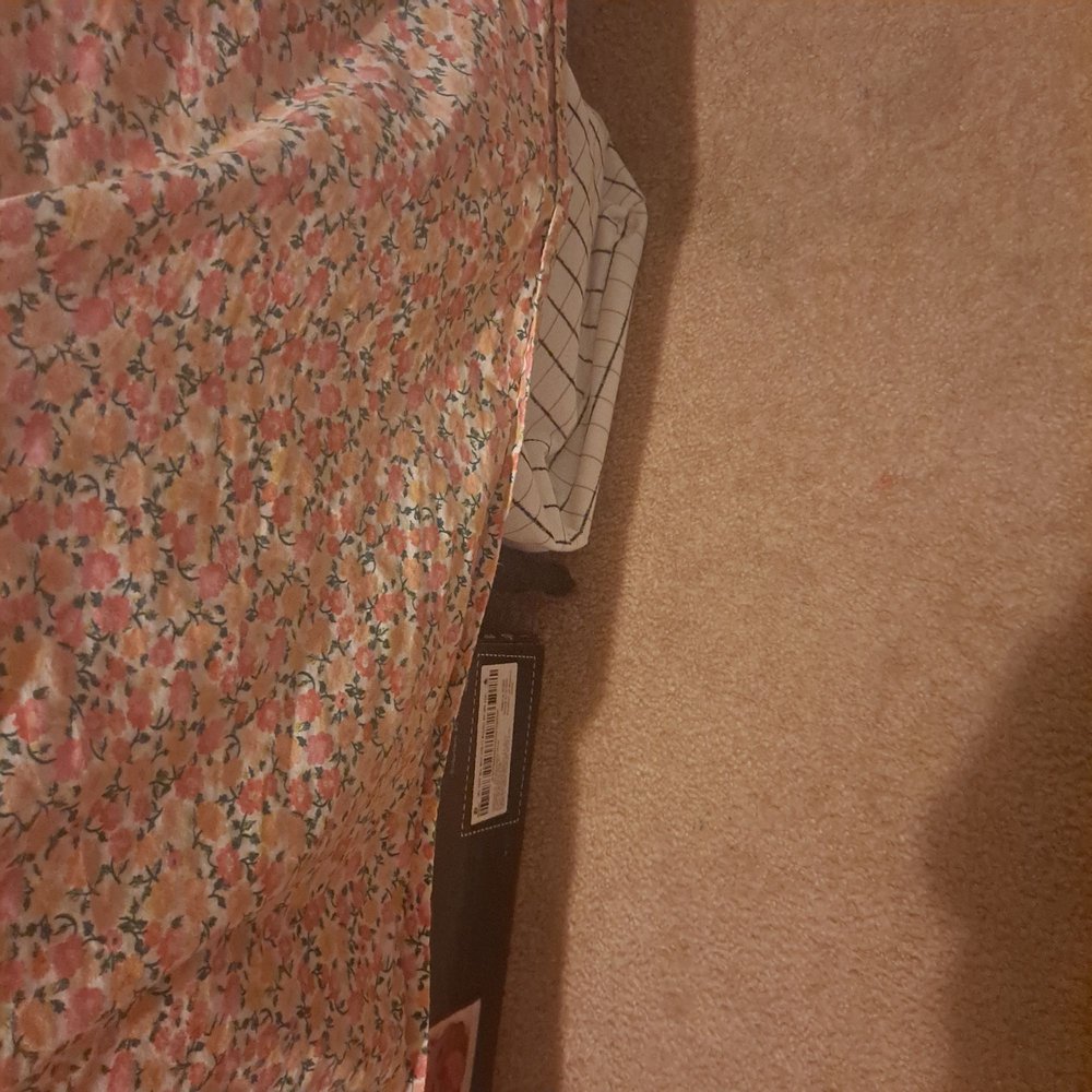 TLC CARPETGREEN CLEAN Updated October 2024 86 Photos & 145 Reviews