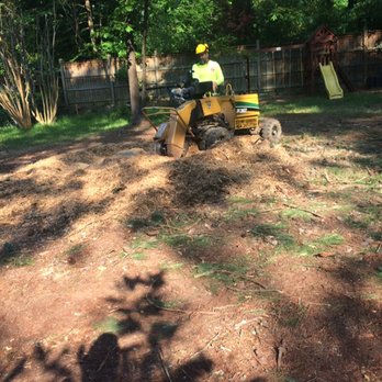 Salomon's Tree Service - We also provide stump grinding!!! - Tree Services Near Me Salomon's Tree Service - We also provide stump grinding!!! - Tree Services Near Me