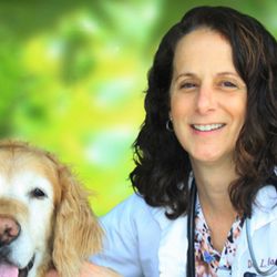 Prime Care Animal Hospital
