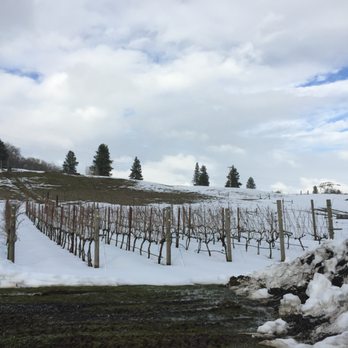 COR Cellars - Vines - Wineries Near Me - Lyle, Washington