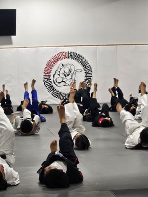 Lansang Brazilian Jiu Jitsu gym photo