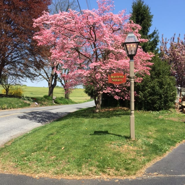 MARIETTA NOTARY Updated August 2024 24 E Main St, Marietta