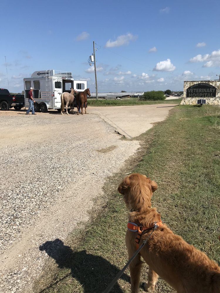 BEARD NAVASOTA VETERINARY HOSPITAL 10 Photos & 18 Reviews 8176 Hwy