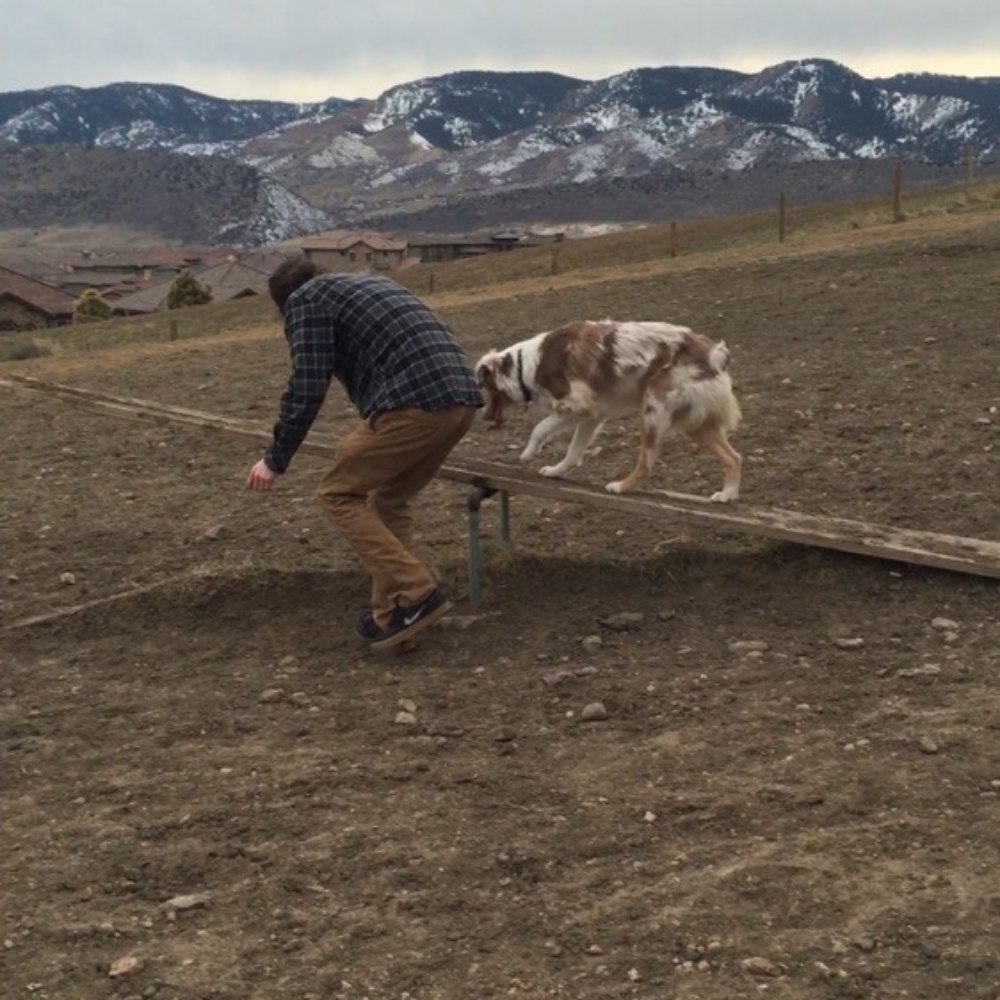 Forsberg Iron Spring Dog Park - Teeter-totter - Dog Parks Near Me - Denver, Colorado Forsberg Iron Spring Dog Park - Teeter-totter - Dog Parks Near Me - Denver, Colorado