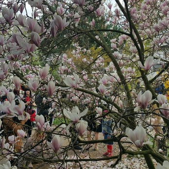 Gärten der Welt - Flowering - Parks Near Me - Berlin, BE Gärten der Welt - Flowering - Parks Near Me - Berlin, BE