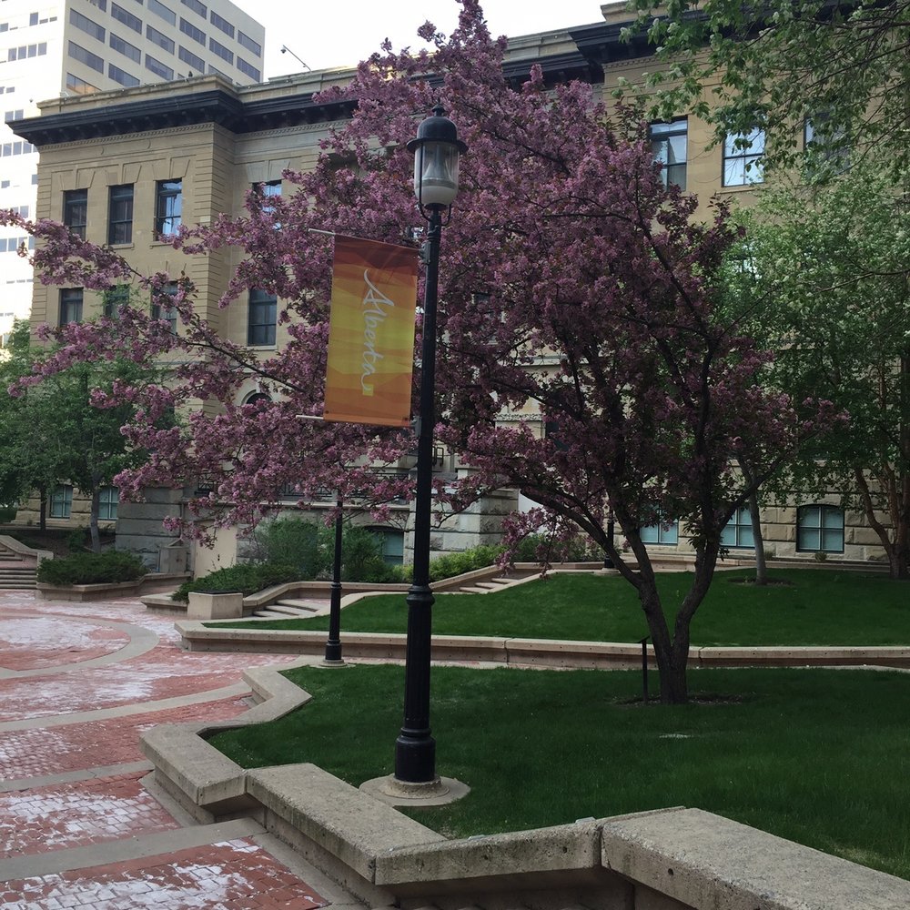 McDougall Centre - Venues & Event Spaces Near Me - Calgary, Alberta