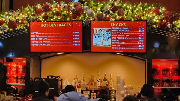 Radio City Music Hall by null