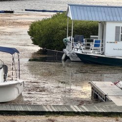 Weeds took over the boat basin