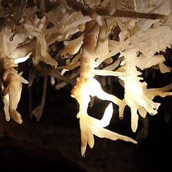 Les Grottes de Maxange