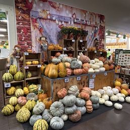 10/18/25 It's all about FALL Vibes here pumpkin