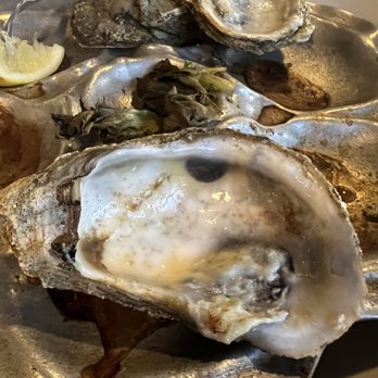 Elijah's Restaurant - Oysters - Seafood Near Me - Wilmington, North Carolina Elijah's Restaurant - Oysters - Seafood Near Me - Wilmington, North Carolina