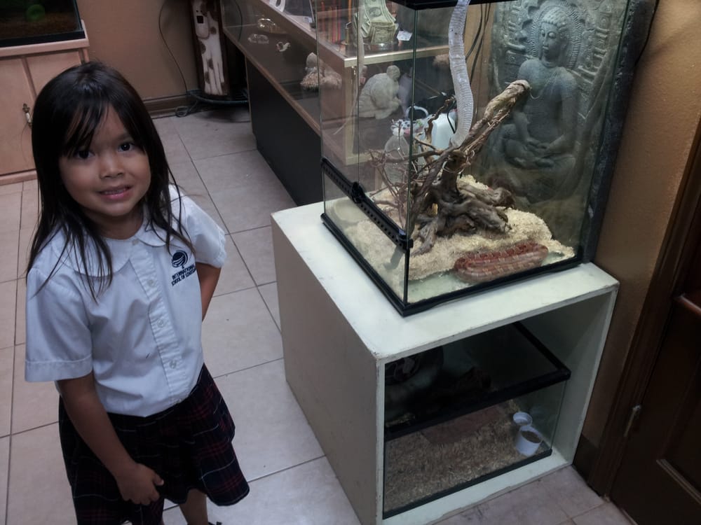 PAWS & CLAWS GROOMING SALON Updated September 2024 4524 Shores Dr