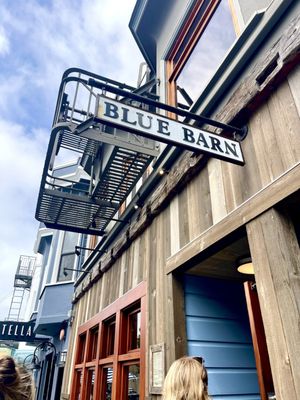 Blue Barn Steiner by null