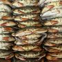 Photo of Jt's Seafood