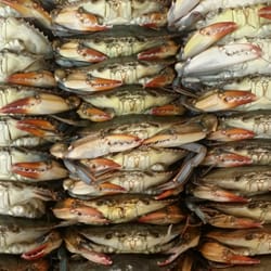 Jt's Seafood - Live soft shell crabs