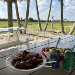 Everglades Gator Grill