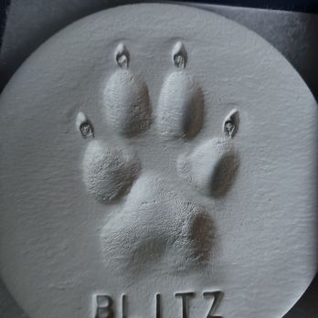 Heartstrings Pet Hospice - Veterinarians Near Me Heartstrings Pet Hospice - Veterinarians Near Me