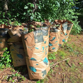The Poison Ivy Bro - The 10 bags we were told would be removed. They sat so long the bottoms rotted out. He never showed up. - Landscaping Near Me - Ledyard, Connecticut