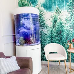 Thrive Dental Studio