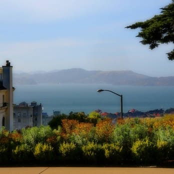 Lafayette Park - View of San Francisco Bay from north side of Lafayette Park - Dog Parks Near Me - San Francisco, California Lafayette Park - View of San Francisco Bay from north side of Lafayette Park - Dog Parks Near Me - San Francisco, California