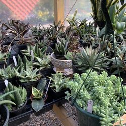 Mill Creek Greenhouses
