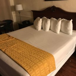 Comfy bed
