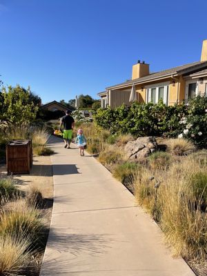 Bernardus Lodge & Spa by null