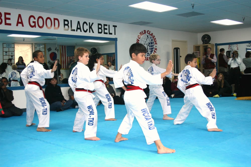 World Classic Martial Arts Logo