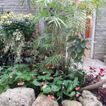 Centennial Park Conservatory - Parks Near Me - Toronto, Ontario