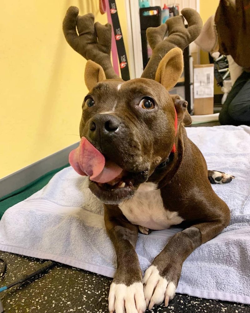 SCOUT’S HOUSE Updated October 2024 17 Photos & 28 Reviews 251 N