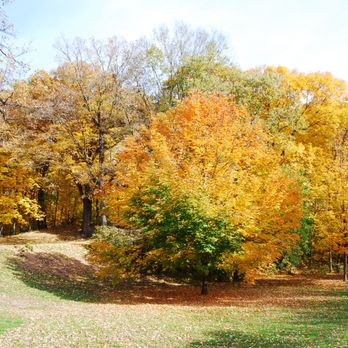 Laura Bradley Park - Fall colors - Parks Near Me - West Peoria, Illinois Laura Bradley Park - Fall colors - Parks Near Me - West Peoria, Illinois