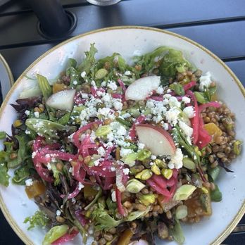Lively Station - Beet salad - Specialty Food Near Me - Salem, Oregon Lively Station - Beet salad - Specialty Food Near Me - Salem, Oregon