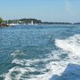 Photo of Compagnie du Golfe
