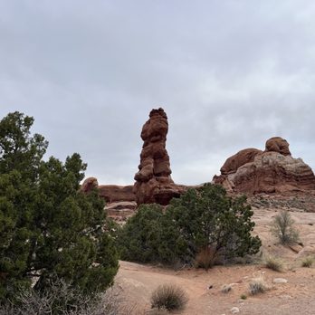 Arches National Park - Landscape view with shrubs - Parks Near Me Arches National Park - Landscape view with shrubs - Parks Near Me