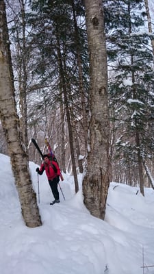 Parc national de la Jacques-Cartier by null