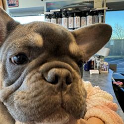 Highlands Ranch Imports Gift Greeting Cards Email, Text or