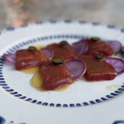 Tuna crudu