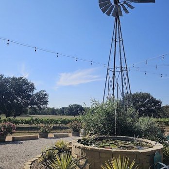 Fiesta Winery - Wineries Near Me - Lometa, Texas Fiesta Winery - Wineries Near Me - Lometa, Texas