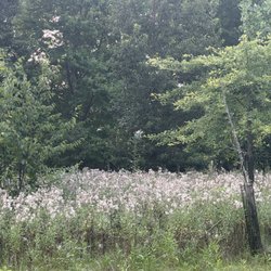 Hoff Woods Park
