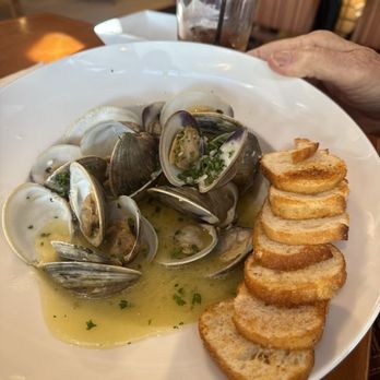 Woody's Ocean Grille - Drunken clams - Seafood Near Me - Sea Bright, New Jersey Woody's Ocean Grille - Drunken clams - Seafood Near Me - Sea Bright, New Jersey